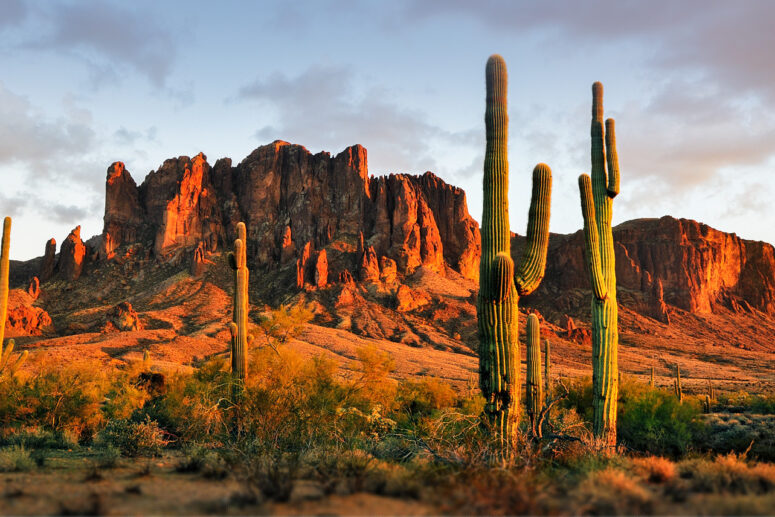 Gold Canyon AZ BBQ Repair Services